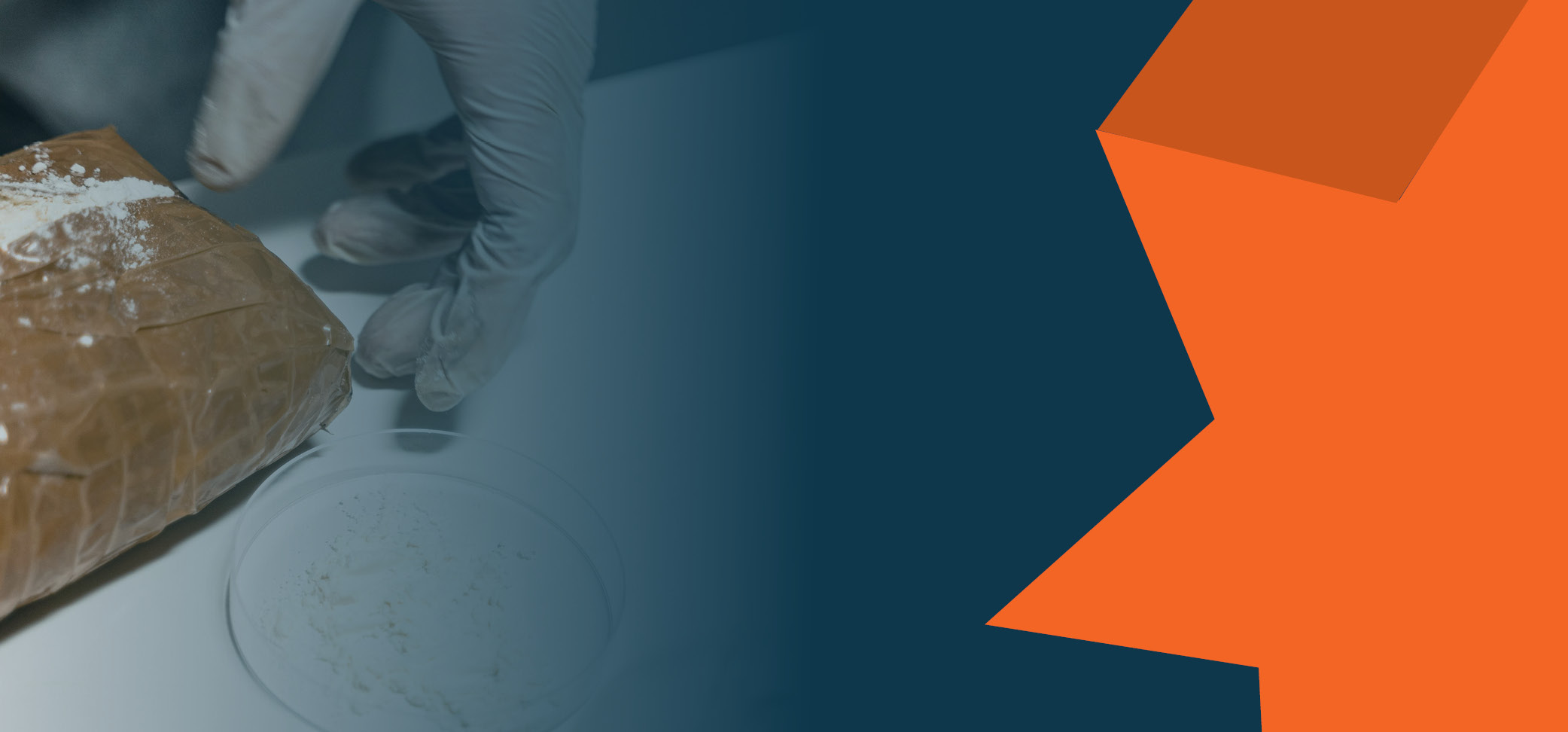 Drug case banner
