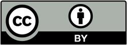 Creative Commons copyright logo