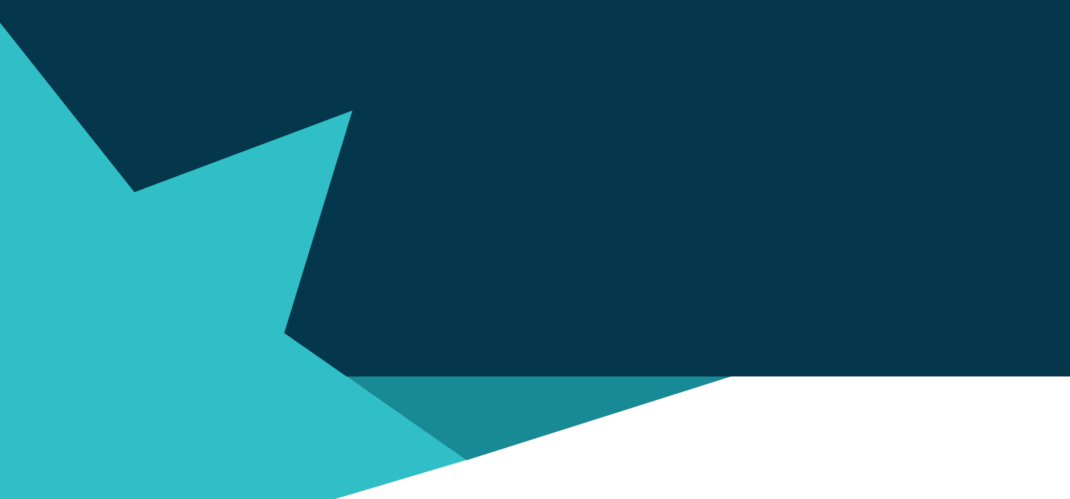 2022 CDPP Partner Agency Survey